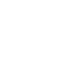 Cash icon